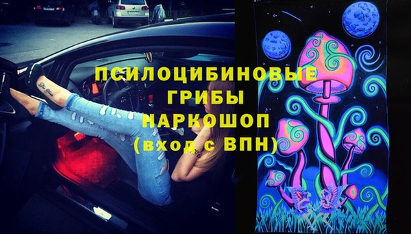 PSILOCYBIN Зеленокумск