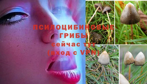 герыч Зеленодольск