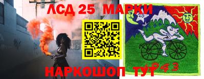 шишки Сланцы