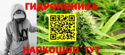 a pvp Славянск-на-Кубани
