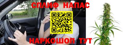 шишки Сланцы