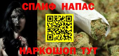 шишки Сланцы