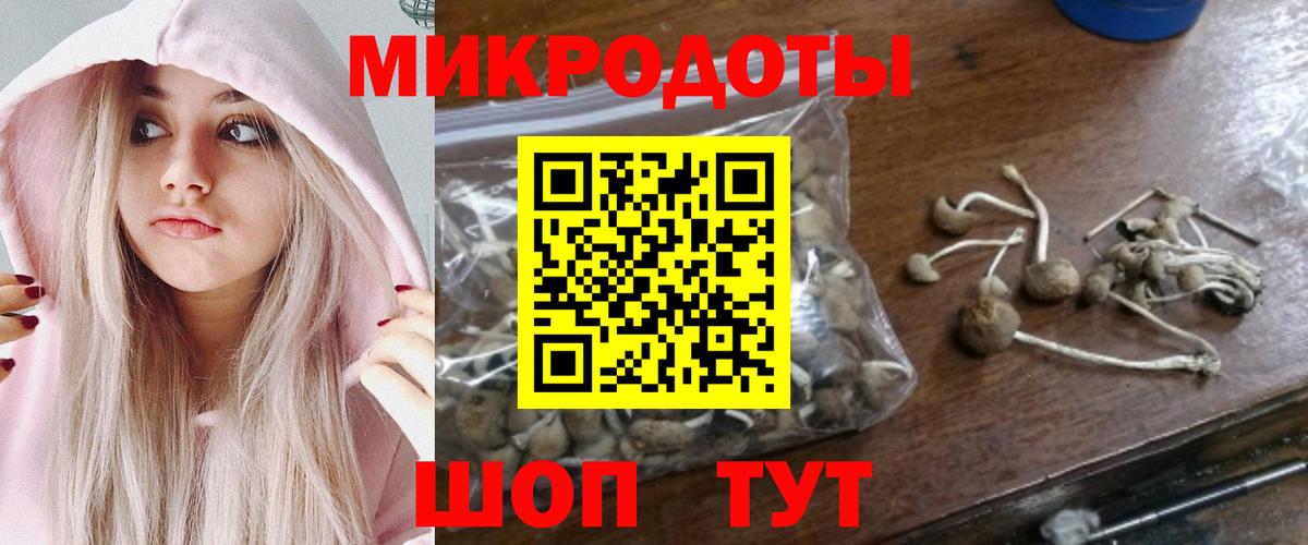 Тюмень  Псилоцибиновые грибы прущие грибы  Псилоцибиновые грибы Cubensis  Вход с VPN 